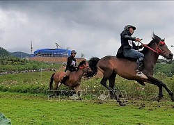 Giải đua 'Vó ngựa trên mây' hồi sinh vẻ đẹp Tây Bắc