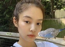 Jennie (BLACKPINK): Tự tin không son phấn từ ngoài đời đến sân khấu