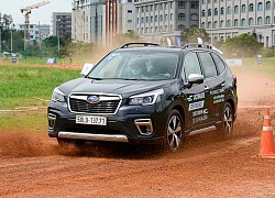 Người dùng phản ánh xe Subaru Forester 'nổi cá vàng' báo lỗi động cơ