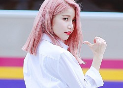 Những idol được khen hợp tóc hồng của Kpop