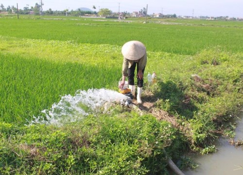 Theo bà ra ruộng bơm nước cho lúa, cháu bé 6 tuổi đuối nước thương tâm