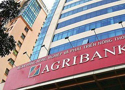 Tín dụng Agribank tăng trưởng âm trong 6 tháng đầu năm