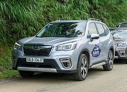 Xe Subaru nổi &#8216;cá vàng&#8217;, hãng trả lời ra sao?