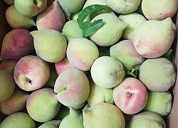 5 loại hoa quả Trung Quốc lẫn hàng Việt bày bán "ngập" chợ: Chỉ cần nhìn vào những điểm này phân biệt được ngay