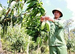 96 ngày liên tiếp Việt Nam không có ca mắc COVID-19 ở cộng đồng
