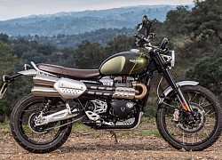 Bảng giá xe Triumph tháng 7/2020: Rẻ nhất 329 triệu đồng