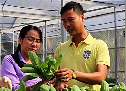 Bỏ ra 1,8 tỷ đồng làm nông trại trồng rau không cần đất, mỗi tháng bán 2 tấn rau