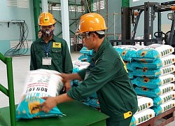 Cổ phiếu cần quan tâm ngày 20/7