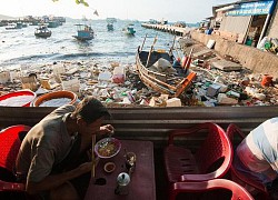 Cơn ác mộng mang tên 'nhựa'