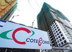 Coteccons: Lãi ròng quý II/2020 tăng gần 30% bất chấp doanh thu giảm