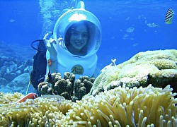 Đi bộ dưới biển ngắm san hô trong vịnh Nha Trang tốn chưa đến 1 triệu đồng