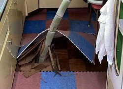 Đi vắng một tháng, chàng trai hốt hoảng khi thấy cây tre đâm rễ tươi tốt trong nhà, cộng đồng mạng phì cười: "Tránh nắng tí làm gì mà căng?"