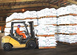 DPM: Quý 2 lãi 308 tỷ đồng, cao gấp 8 lần cùng kỳ