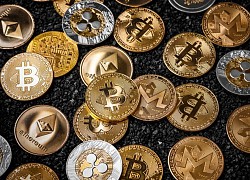 Elon Musk ủng hộ tiền ảo 'lạ'