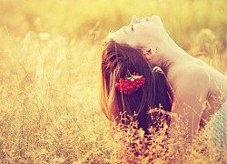 Em không tìm người hoàn hảo để yêu