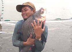 Hậu Giang: Nuôi loài cá suýt tuyệt chủng trong ao đất, bán được hơn 1 tỷ đồng