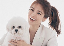 Song Hye Kyo lần đầu xuất hiện sau tin đồn chồng cũ có người yêu mới, nhìn biểu hiện là biết chẳng còn thiết tha gì Song Joong Ki