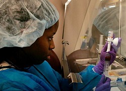 Lật lại vụ thử thuốc kháng sinh Penicillin tại Mỹ gần 100 năm trước