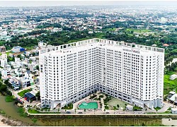 LDG: Doanh thu tăng gấp 9 lần, lợi nhuận giảm 99%