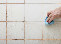 Loại sinh vật nhà nào cũng có và được WHO xếp vào nhóm gây ung thư số 1, độc gấp 68 lần asen: Chúng có ảnh hưởng đến sức khỏe thế nào?