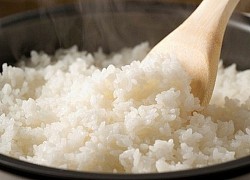 Mẹo bảo quản cơm không bị thiu trong mùa nắng nóng