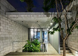 Nhà bằng bê tông tưởng thô nhưng hóa ra mềm mại bất ngờ