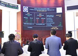Những dấu mốc thăng trầm 20 năm thị trường chứng khoán Việt Nam
