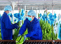Sửa nghị định, doanh nghiệp được trả lại cả ngàn tỉ