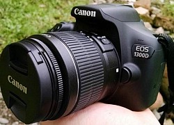 Canon có thể đã khai tử dòng máy ảnh 5D