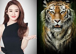 Top bốn con giáp tính cách thẳng thắn, không quanh co, không giỏi ngụy trang trong tình yêu
