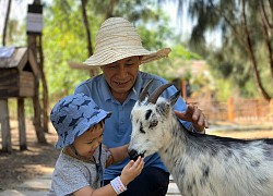 Trải nghiệm thế giới động vật hoang dã tại FLC Zoo Safari Quy Nhơn