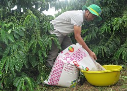 Triết lý kinh doanh gắn với lợi ích của nhà nông