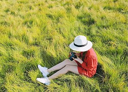 Tử vi 12 con giáp ngày 22/7: Vận may tài lộc ghé thăm người tuổi Dần