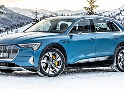 Audi e-tron là mẫu SUV chạy điện hoàn toàn bán chạy nhất ở châu Âu trong 6 tháng đầu năm 2020