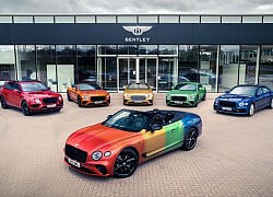 Bentley Continental GT Convertible đầy kiêu hãnh với tùy chọn "bảy sắc cầu vồng"