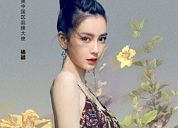 Bộ sưu tập của Dior: Triệu Lệ Dĩnh và Angelababy được đặt lên bàn cân so sánh, ai hơn ai?