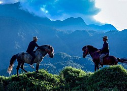 Cuối tuần xem đua ngựa, check-in cùng khủng long