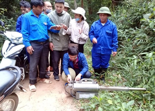 Đàn châu chấu từ Trung Quốc tràn sang Điện Biên phá hoại hoa màu