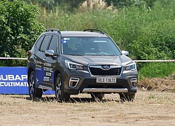 Đèn báo kiểm tra động cơ trên một số xe Subaru Forester là do kim xăng bị bẩn