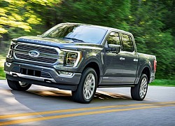 Ford F-150 2021 ra mắt tại Mỹ, giá từ 30.635 USD