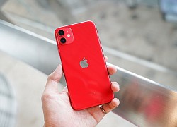 Hai mẫu iPhone này mạnh ngang nhau nhưng chênh giá 7 triệu, đâu là điểm khác biệt?