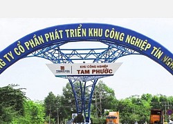 Phát triển Khu công nghiệp Tín Nghĩa (TIP), quý II/2020 báo lãi sau thuế 32,5 tỷ đồng, tăng hơn 21%