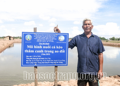 Sóc Trăng: Trồng mía-mía ế, nuôi tôm-tôm chết, bất ngờ thành công nhờ loài cá nhìn như con chạch