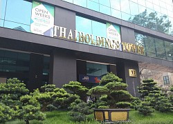 Thaiholdings (THD), lợi nhuận quý II/2020 giảm gần 79%