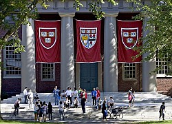 Thu học phí 50.000 USD và dạy trực tuyến hoàn toàn, Harvard bị chê đắt!