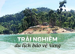 Trải nghiệm du lịch bảo vệ rừng