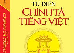 Từ điển chính tả sai chính tả: Thu hồi rồi sao nữa?