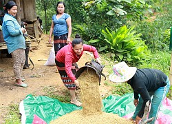 Xây dựng "pháo đài" của Đảng ở biên giới