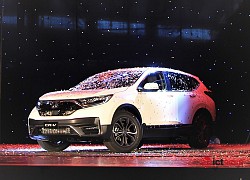 Xe SUV mới đua nhau lắp ráp trong nước để giảm phí trước bạ