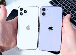 Apple đón tin vui trước ngày ra mắt iPhone 12